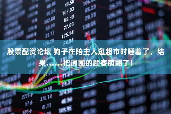 股票配资论坛 狗子在陪主人逛超市时睡着了，结果……把周围的顾客萌翻了！