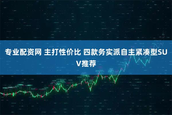 专业配资网 主打性价比 四款务实派自主紧凑型SUV推荐